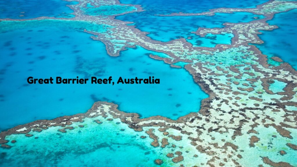 top-11-wildlife-tourist-spots-across-the-world