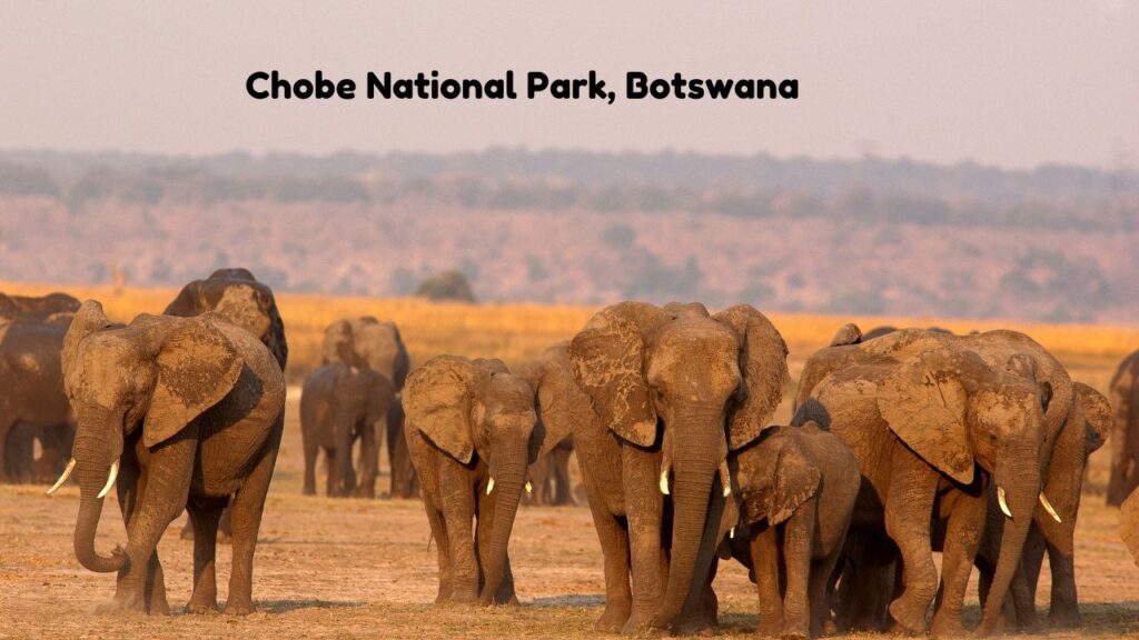 top-11-wildlife-tourist-spots-across-the-world