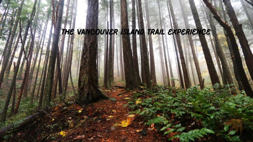 a-solo-walk-on-the-vancouver-island-trail