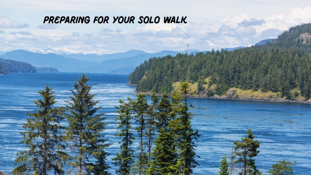 a-solo-walk-on-the-vancouver-island-trail