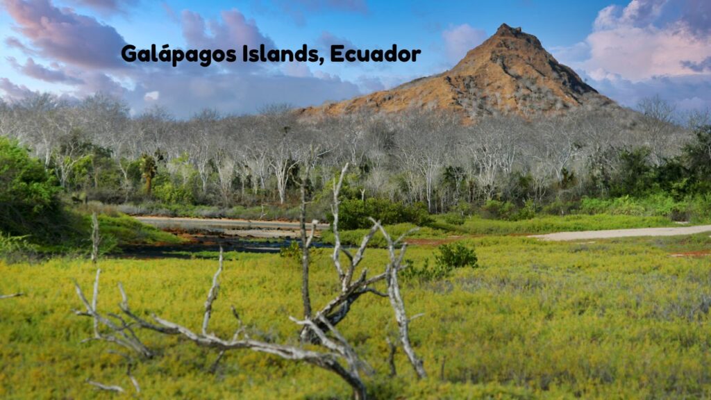 top-11-wildlife-tourist-spots-across-the-world