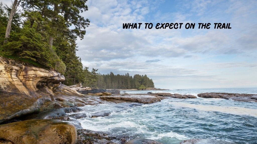 a-solo-walk-on-the-vancouver-island-trail