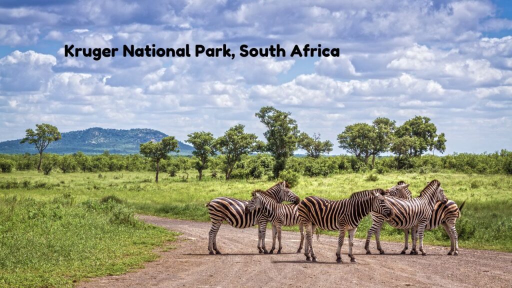 top-11-wildlife-tourist-spots-across-the-world