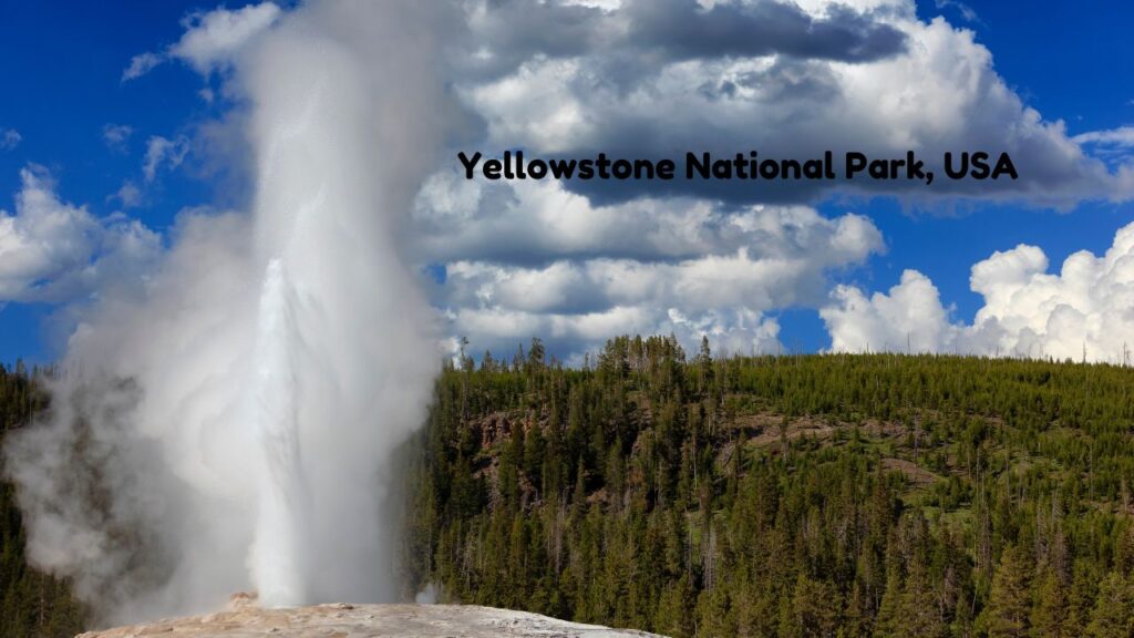 top-11-wildlife-tourist-spots-across-the-world