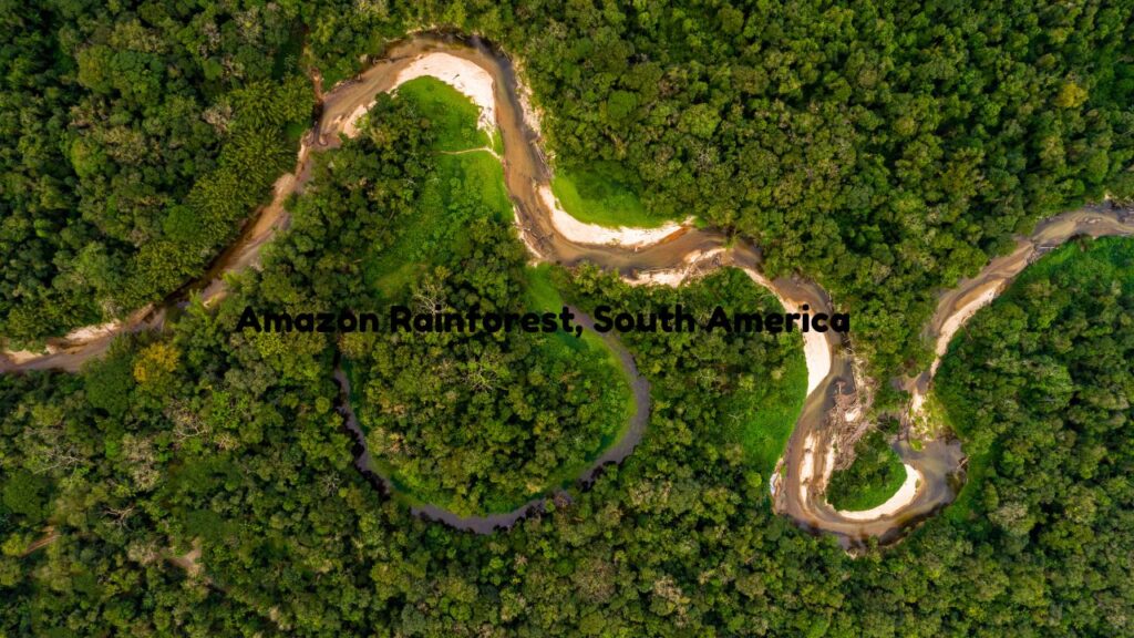top-11-wildlife-tourist-spots-across-the-world