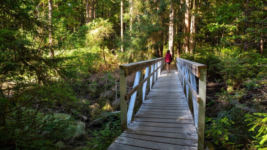 a-solo-walk-on-the-vancouver-island-trail