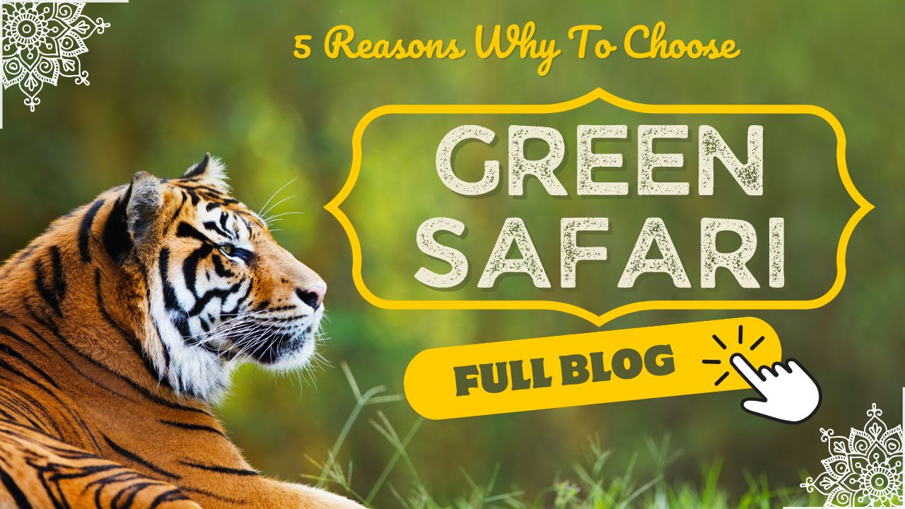 5-reasons-why-to-choose-a-green-safari