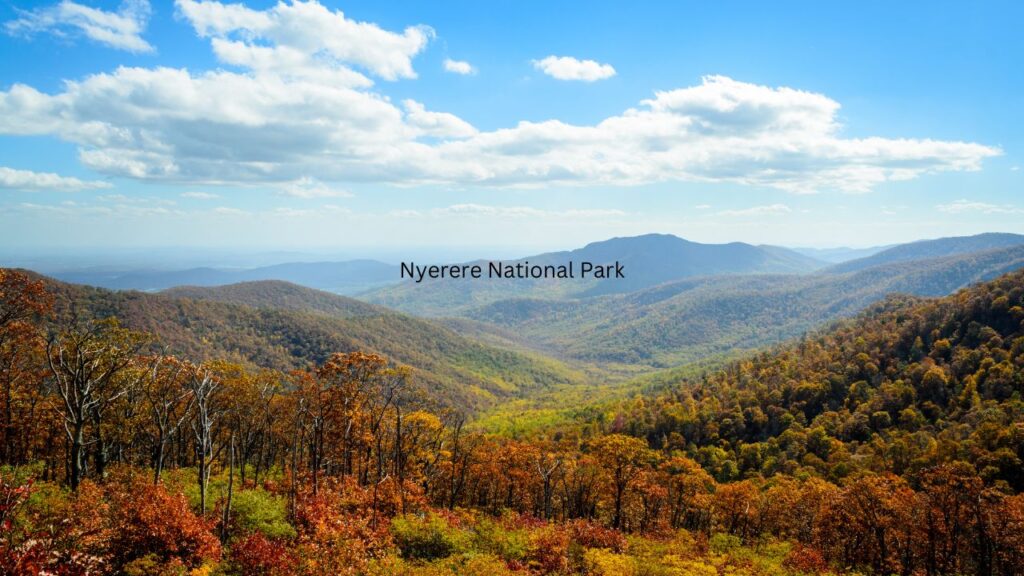 what-you-need-to-know-about-visiting-nyerere-national-park