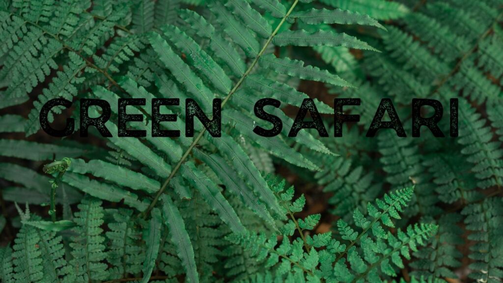 5-reasons-why-to-choose-a-green-safari