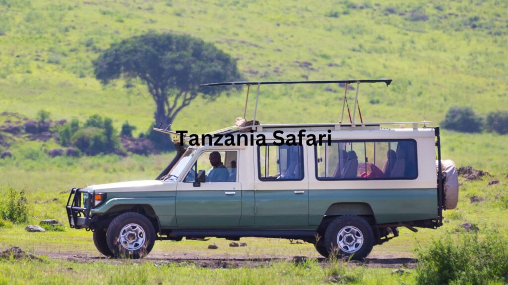 where-to-go-on-a-day-trip-safari-in-tanzania?