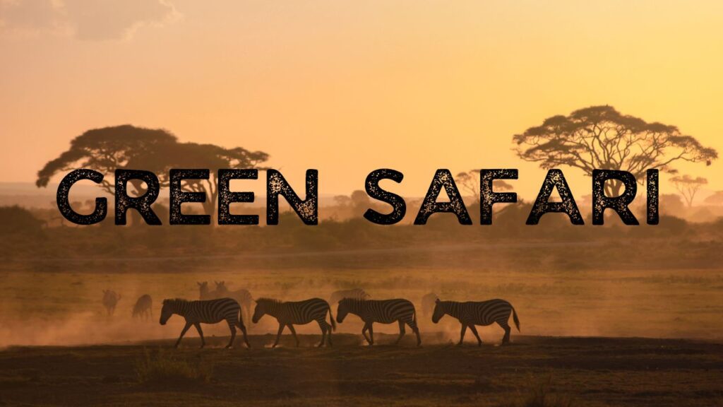 5-reasons-why-to-choose-a-green-safari