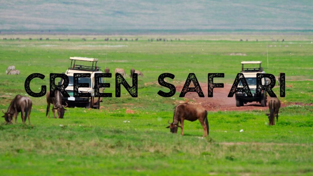 5-reasons-why-to-choose-a-green-safari