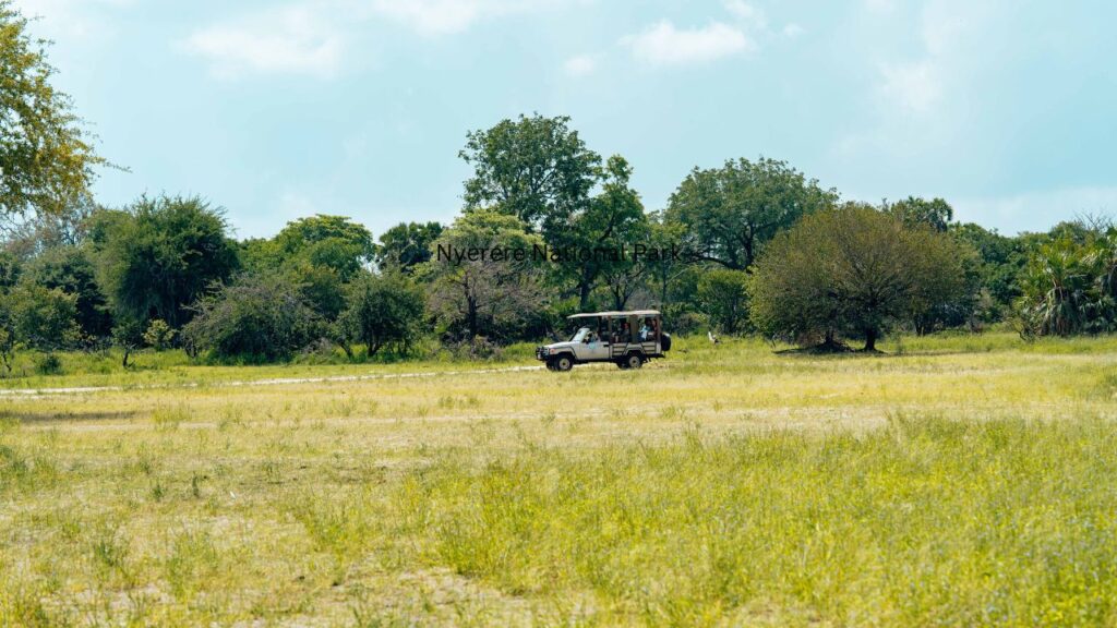 what-you-need-to-know-about-visiting-nyerere-national-park