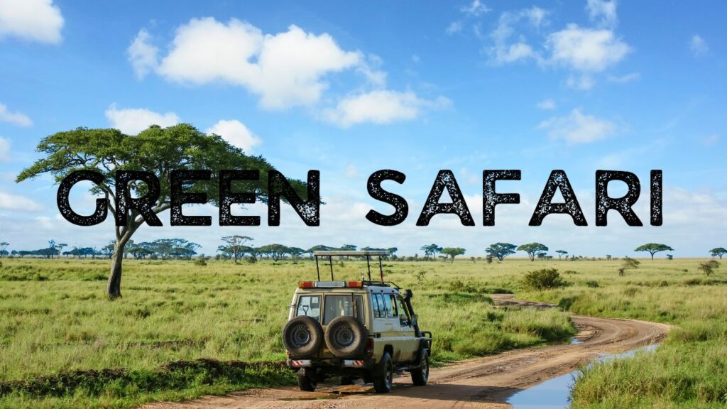 5-reasons-why-to-choose-a-green-safari