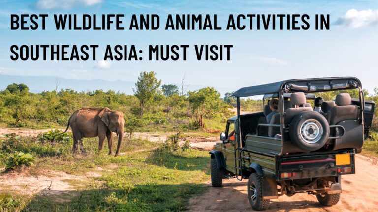 best-wildlife-and-animal-activities-in-southeast-asia