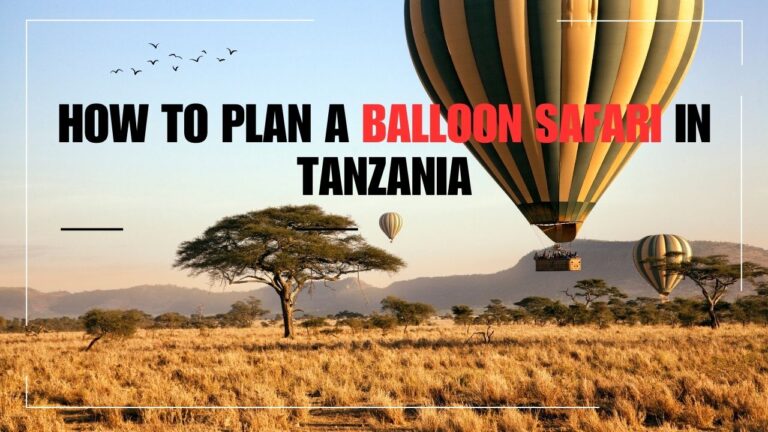 how-to-plan-a-balloon-safari-in-tanzania