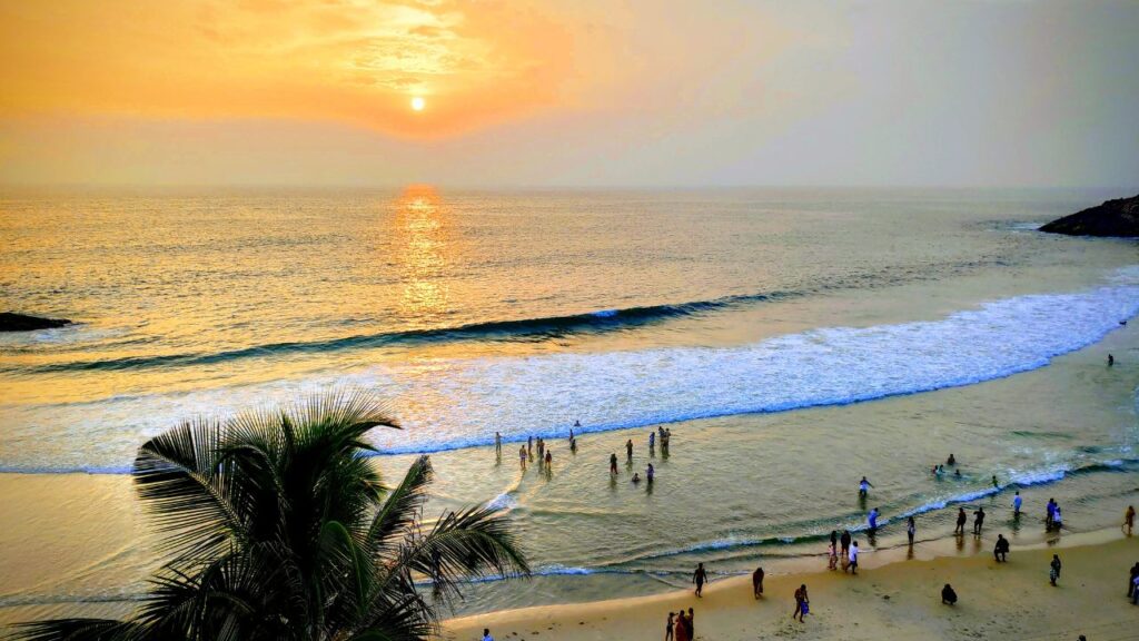 top-12-bioluminescent-beaches-in-india
