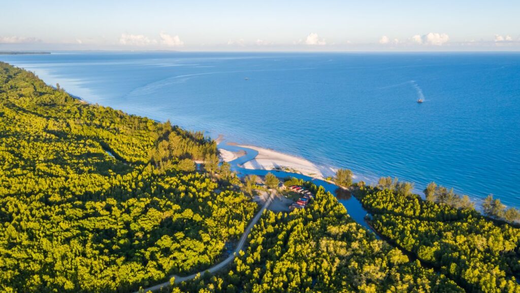 discover-the-16-best-wildlife-photography-destinations-around-the-globe