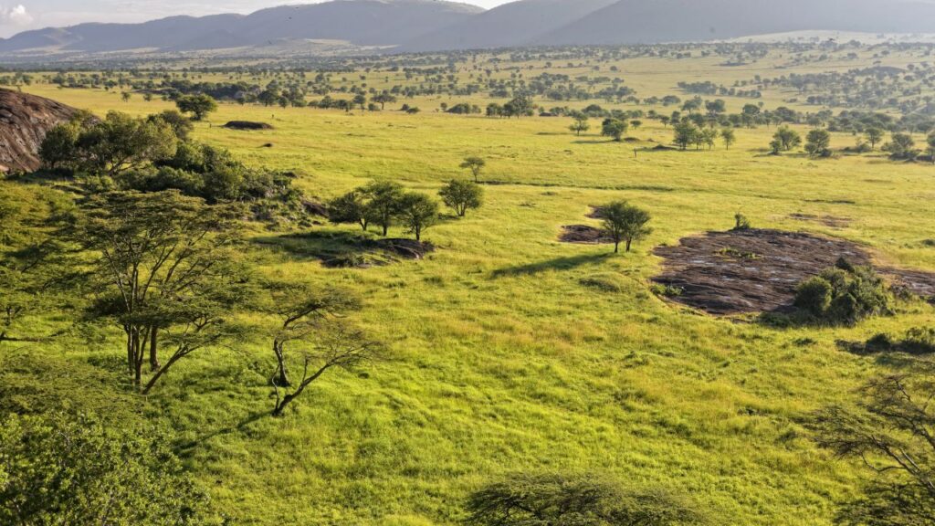 discover-the-16-best-wildlife-photography-destinations-around-the-globe