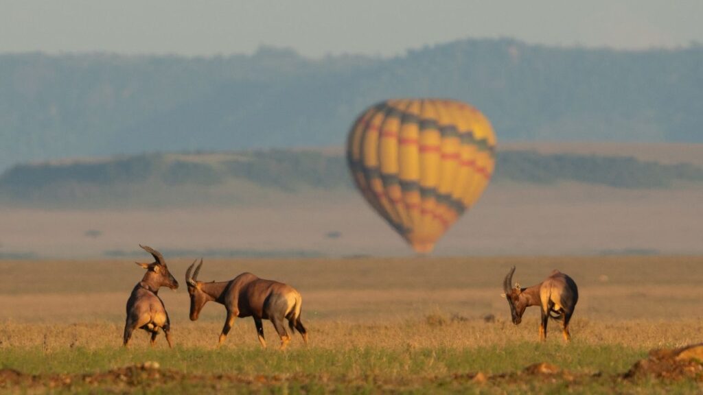 how-to-plan-a-balloon-safari-in-tanzania