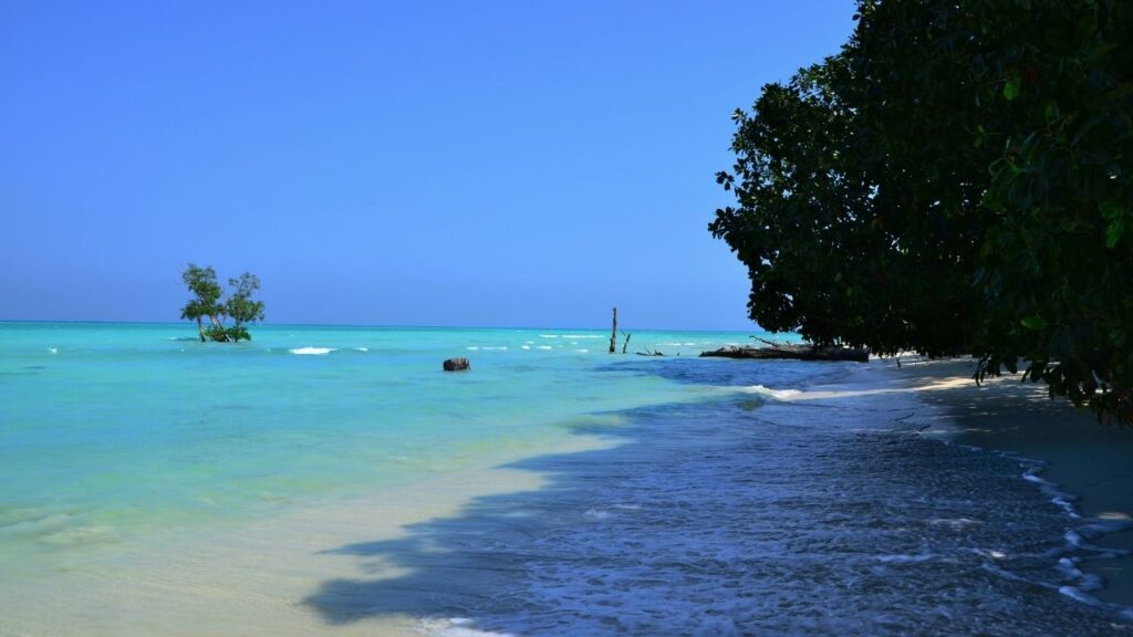 top-12-bioluminescent-beaches-in-india