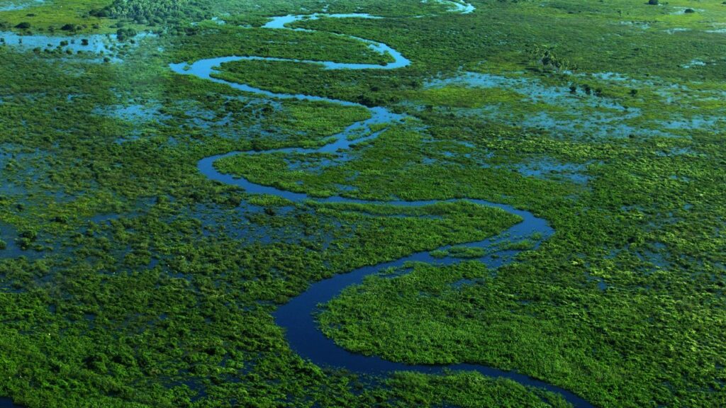 discover-the-16-best-wildlife-photography-destinations-around-the-globe