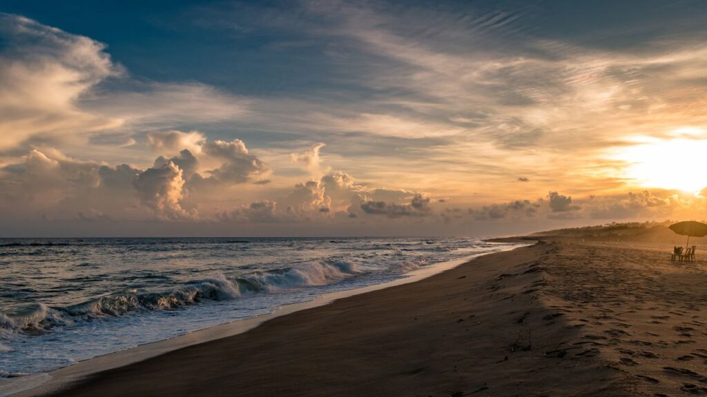 top-12-bioluminescent-beaches-in-india