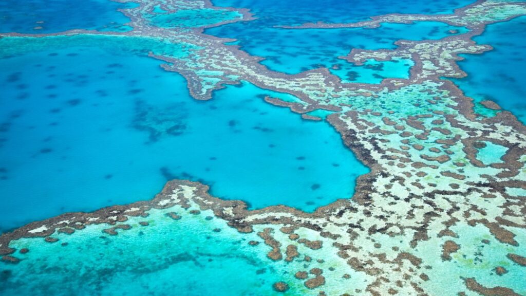 discover-the-16-best-wildlife-photography-destinations-around-the-globe