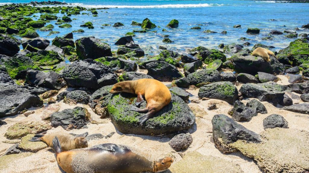 discover-the-16-best-wildlife-photography-destinations-around-the-globe