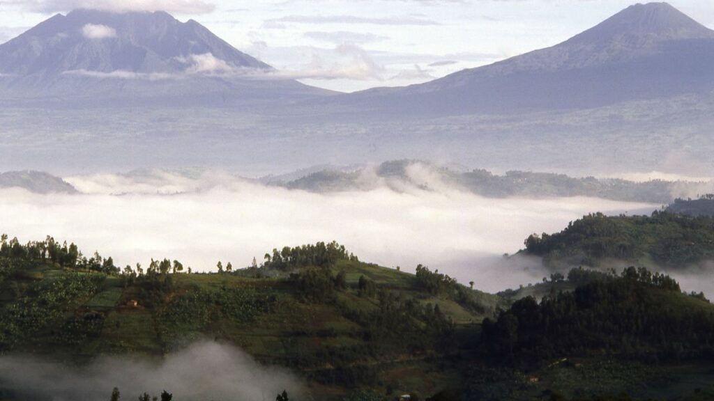 discover-the-16-best-wildlife-photography-destinations-around-the-globe