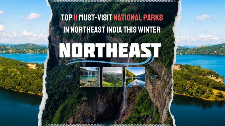 top-11-must-visit-national-parks-in-northeast-india-this-winter