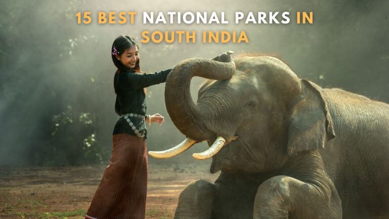 15-best-jungle-safari-destinations-in-south-india