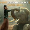 15-best-jungle-safari-destinations-in-south-india