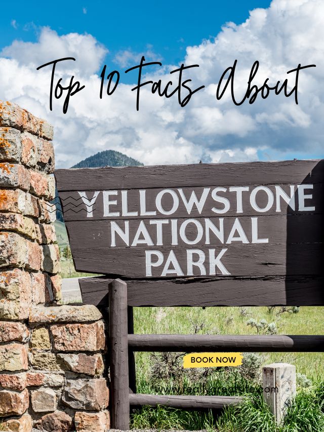 Top 10 Facts About Yellowstone National Park