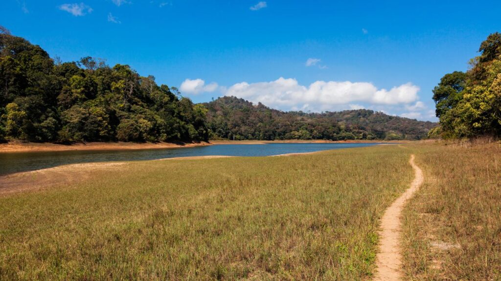 top-11-must-visit-national-parks-in-northeast-india-this-winter