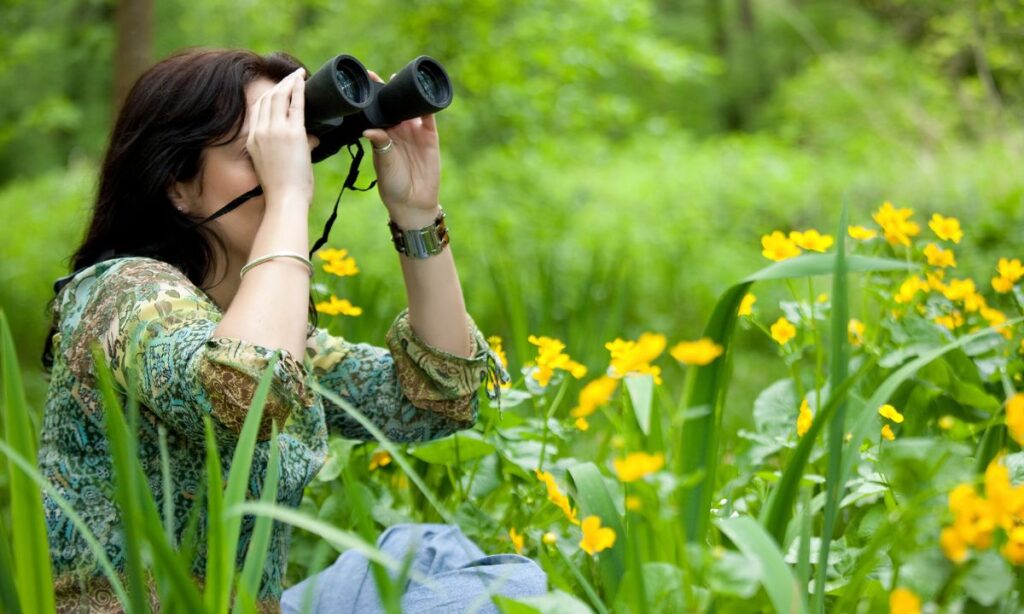 the-most-unforgettable-wildlife-encounters-in-national-parks