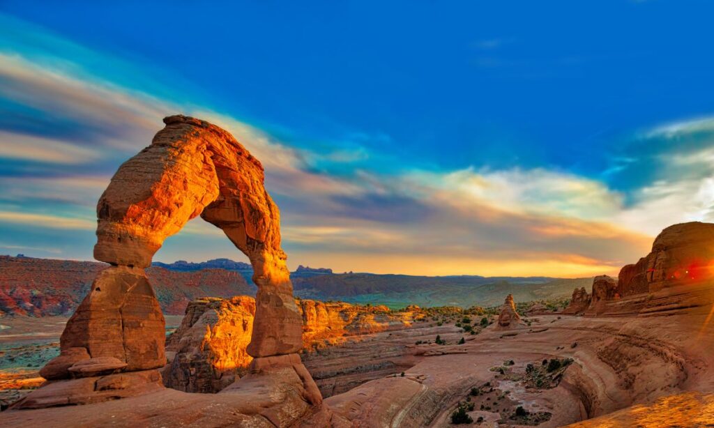 the-most-unforgettable-wildlife-encounters-in-national-parks