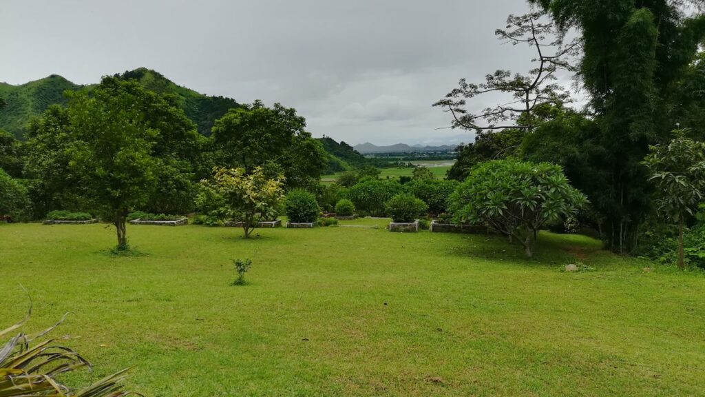 top-11-must-visit-national-parks-in-northeast-india-this-winter