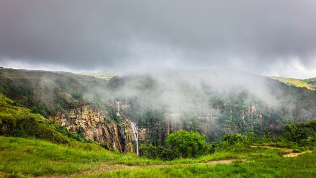 top-11-must-visit-national-parks-in-northeast-india-this-winter