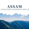 assam-top-attractions-in-northeast-india-jewel