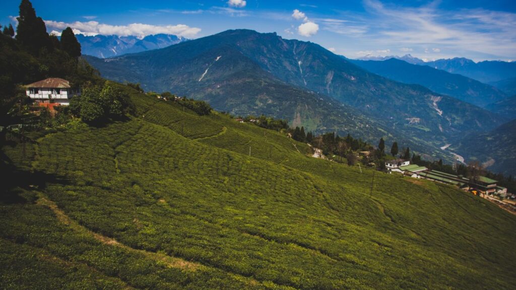 assam-top-attractions-in-northeast-india-jewel